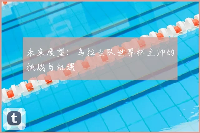 未来展望：乌拉圭队世界杯主帅的挑战与机遇